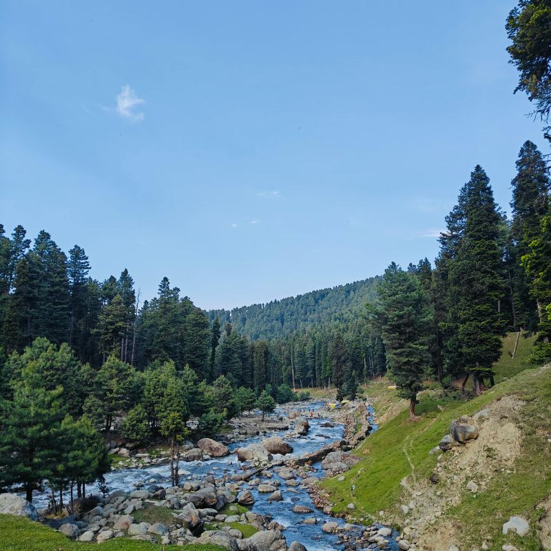 images/insta/Kashmir Tour Package 6 Nights 7 Days 8.jpg